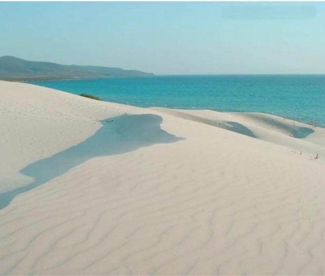 Villa Panoramica Immersa Nel Verde Porto Pino Buitenkant foto